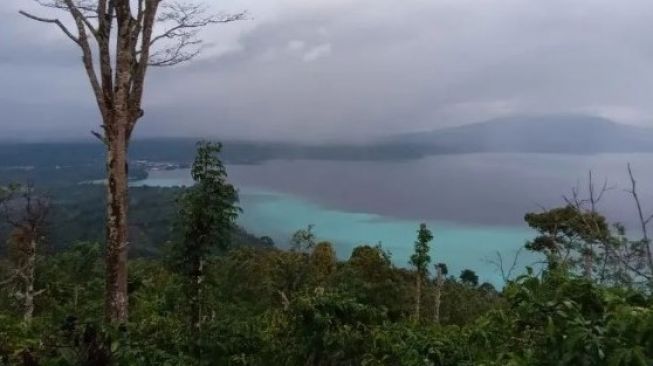 Air Danau Ranau Berubah Warna Hitam Hijau Tosca, Ikan-Ikan Muncul ke Permukaan