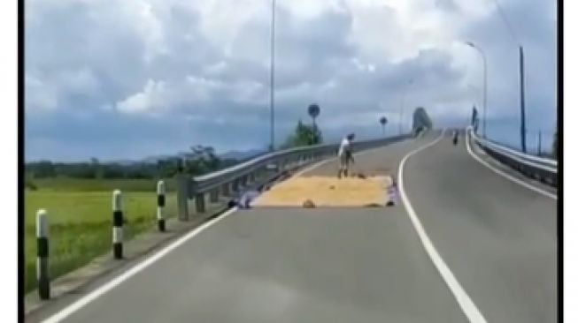 Viral Petani Jemur Gabah di Tengah Flyover hingga Tutup Separo Jalan, Sopir: Wong Ora Jelas..