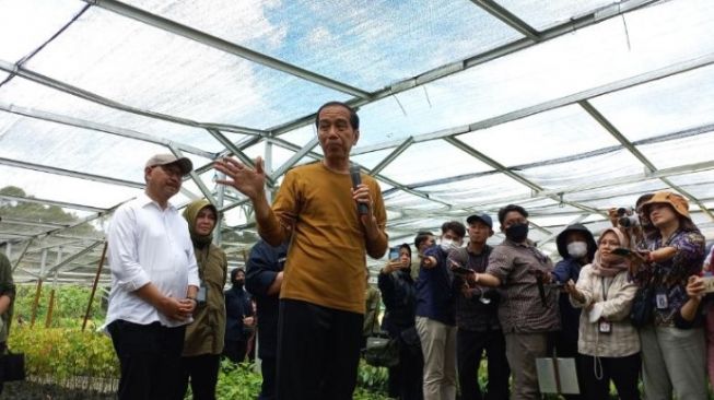 Berkaos Cokelat, Jokowi Kembali Tinjau Persemaian Mentawir di Kaltim