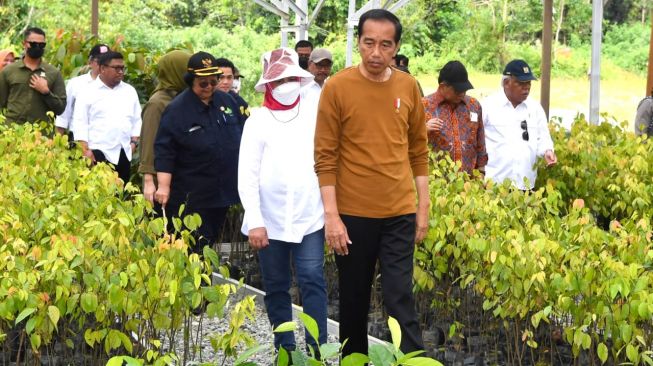 Presiden Joko Widodo atau Jokowi bersama ibu negara Iriana saat meninjau Persemaian Mentawir di Desa Mentawir, Kecamatan Sepaku, Kabupaten Penajam Paser Utara, Kalimantan Timur, Kamis (23/2/2023). [Foto: Rusman - Biro Pers Sekretariat Presiden]