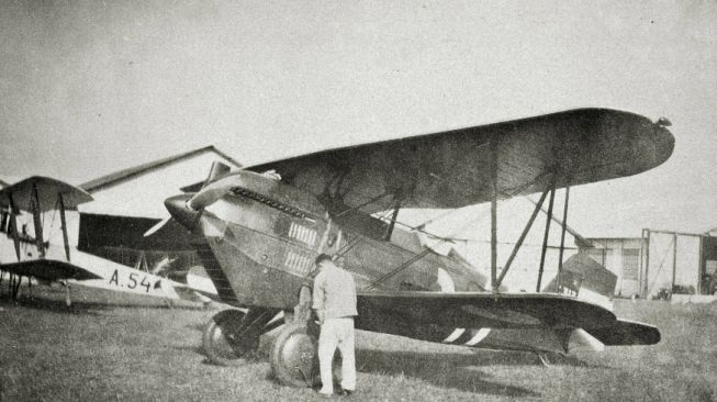 Mengenal Curtiss P-6 Hawk, Pesawat Tempur Hindia-Belanda yang Penuh Polemik