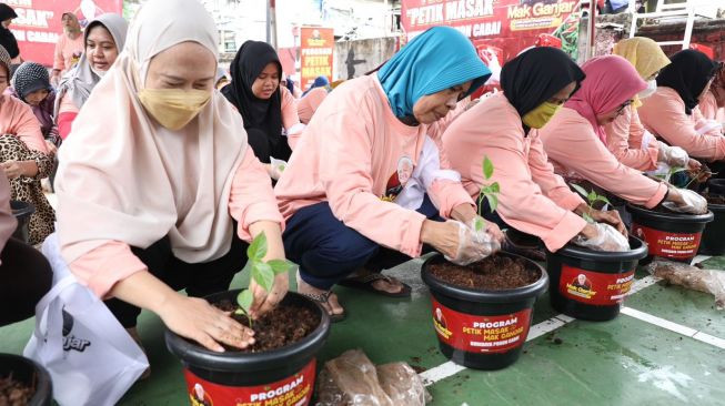 Jelang Puasa, Emak-emak di Jaksel Tanam Ratusan Pohon Cabai