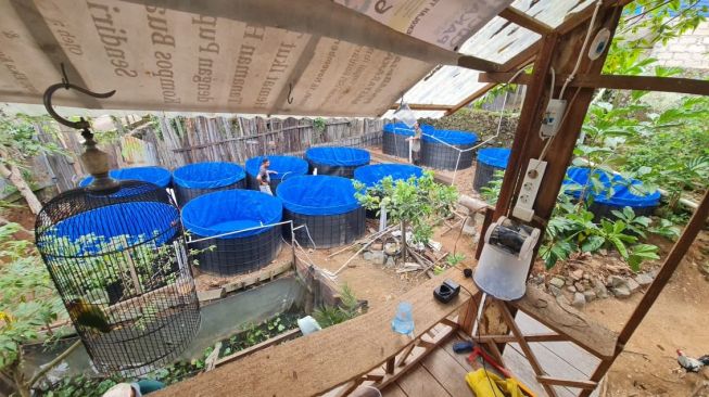 Ratusan Ikan dari Program RT Mandiri di Sungai Besar Ludes Disapu Banjir