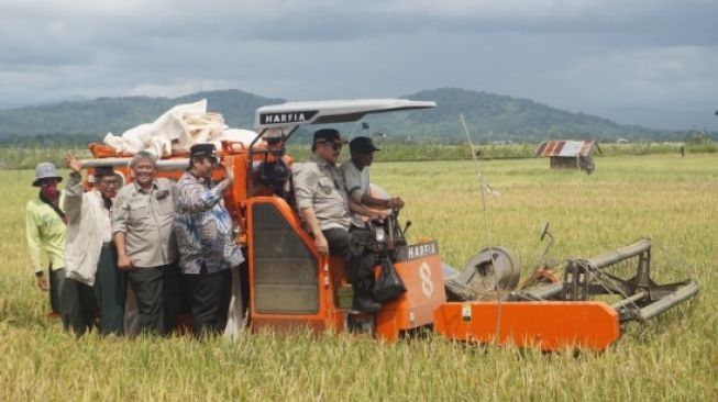 Panen Raya di Sulawesi Selatan Diharapkan Menurunkan Harga Beras