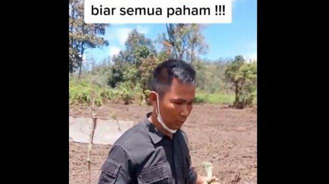 Budidaya Bunga Edelweis Ranca Upas Hancur Dilindas Motor Trail, Petani Marah