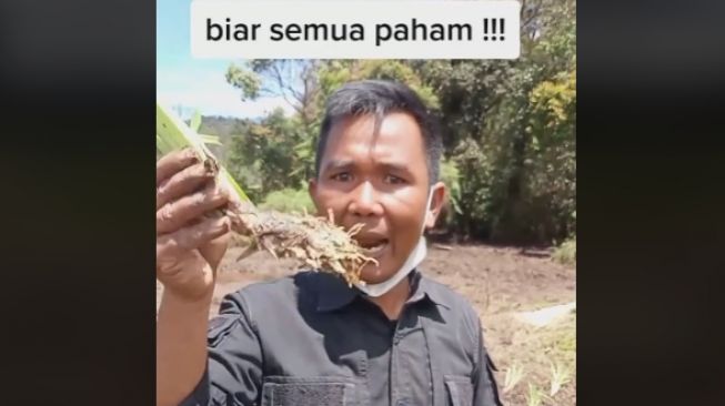 Savana dan Edelweis Rawa di Ranca Upas Rusak Parah, Pencinta Alam Bakal Gugat Perhutani