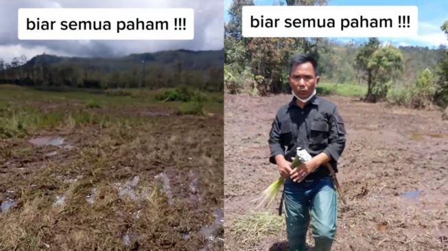 Viral Bunga Edelweis Rawa Rusak Rata dengan Tanah karena Event Motor Trail, Petani Ini Meradang: Tidak Cinta Lingkungan!