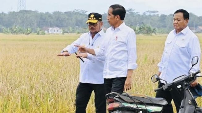 Usai Panen Bersama Presiden, Mentan SYL Canangkan Percepatan Tanam