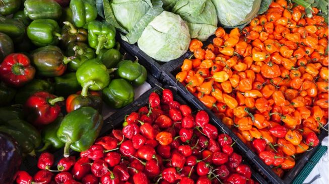 Jarang Diketahui, Ini Manfaat Konsumsi Buah dan Sayur Berdasarkan Warna