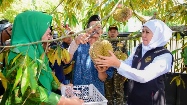 Ke Kampung Durian Ngawi, Gubernur Khofifah Dorong Varietas Musang King Diolah dengan Teknik Frozen