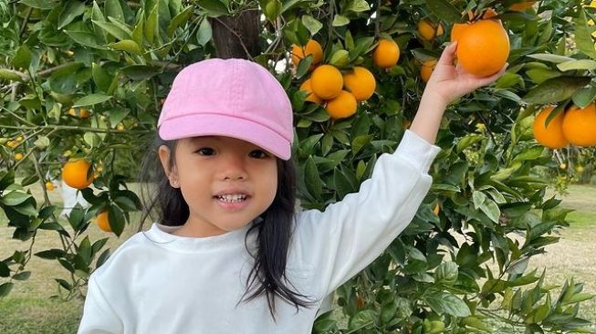 Potret Amaira Putri Farah Quinn (Instagram/farahquinnofficial)