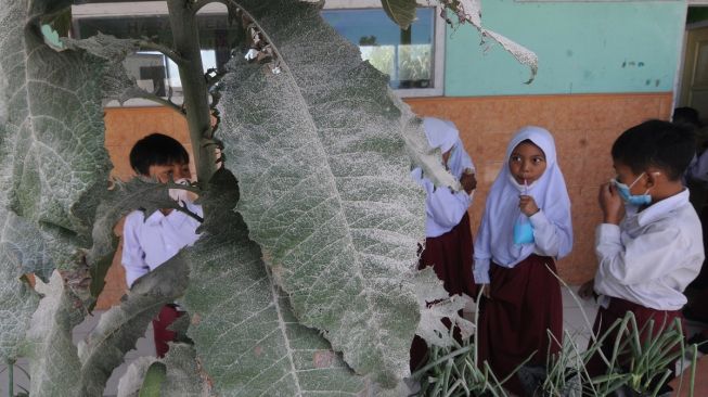 Sejumlah siswa menggunakan masker saat bermain di halaman sekolah saat jam istirahat pelajaran di Sekolah Dasar Negeri 2 Tlogolele, Selo, Boyolali, Jawa Tengah, Senin (13/3/2023). Aktivitas belajar mengajar masih berjalan meskipun aktivitas awan panas guguran Gunung Merapi masih terjadi, [ANTARA FOTO/Aloysius Jarot Nugroho].