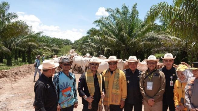 Mentan dan Gubernur Kalsel Sepakat Tingkatkan Populasi Sapi