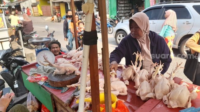 Pedagang ayam potong saat melayani pembeli di pasar Seroja, Harapan Jaya,Bekasi Utara, Kota Bekasi (Suara.com / Danan Arya)