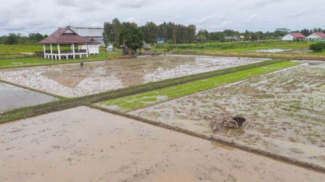 Program Taksi Alsintan Mampu Berikan Dampak Positif bagi Petani di Berbagai Wilayah