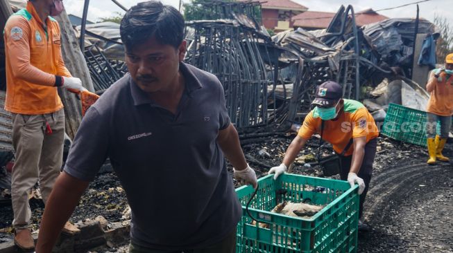 Petugas membersihkan sisa-sisa kebakaran di tempat penampungan hewan di Duren Sawit, Jakarta Timur, Senin (27/3/2023). [Suara.com/Alfian Winanto]