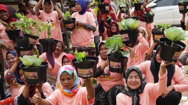 Pastikan Ketersediaan Pangan Terjaga Lewat Budi Daya Tanaman Sayur