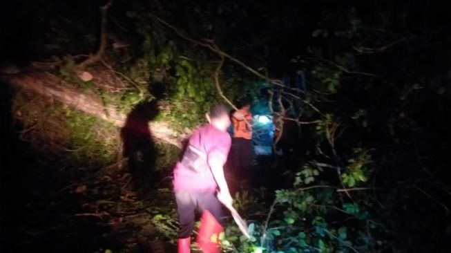 Pohon Tumbang di Agam Timpa Mobil Warga, Akses Jalan Sempat Terputus