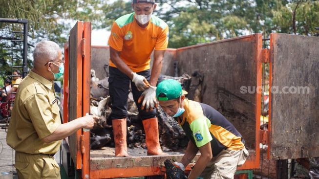 Petugas membersihkan sisa-sisa kebakaran di tempat penampungan hewan di Duren Sawit, Jakarta Timur, Senin (27/3/2023). [Suara.com/Alfian Winanto]