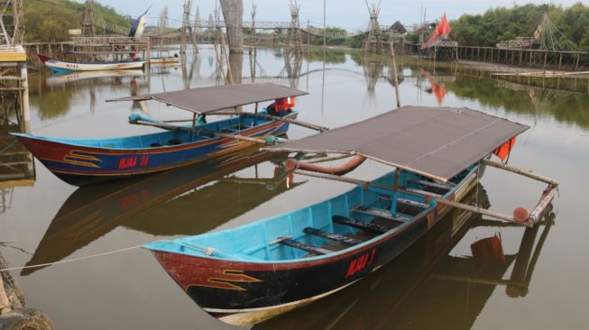 Pesona Ekowisata Hutan Mangrove di Kulon Progo, Asri Banget!