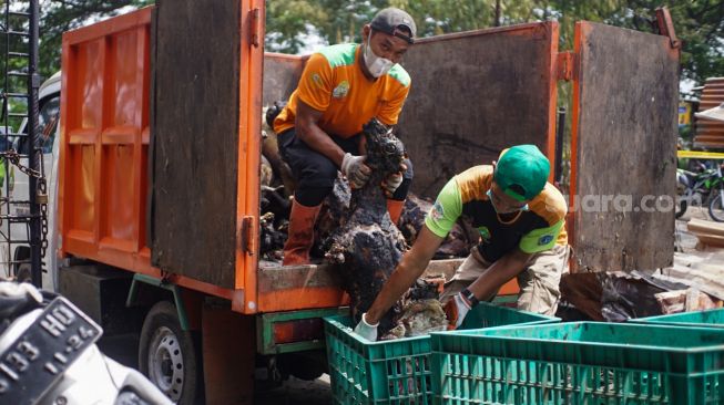 Ratusan Kambing Mati Akibat Kebakaran Tempat Penampungan Hewan di Duren Sawit