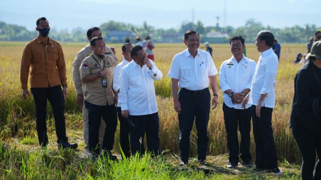 Panen Raya 5,5 Ton per Hektare di Maros, Presiden Jokowi Mengaku Puas