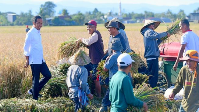 Jadi Lumbung Beras Sulsel, Jokowi Harap Panen Raya Padi di Maros Surplus untuk Daerah Lain