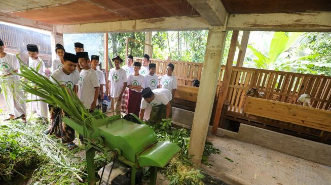 Wujudkan Santri Mandiri, SDG Berikan Pelatihan Budidaya Ternak Kambing di Kota Cilegon