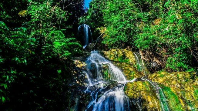 Berpetualang Menjajaki Air Terjun Tersembunyi di Hutan Lindung Kuansing