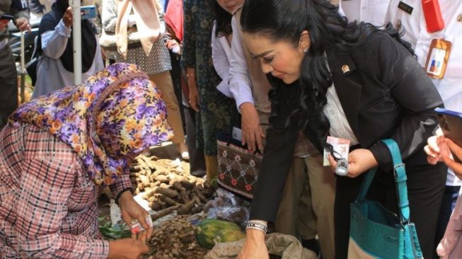 Krisdayanti Blusukan ke Pasar Pakai Tas Rp 71 Juta, Segini Gaji Anggota DPR RI