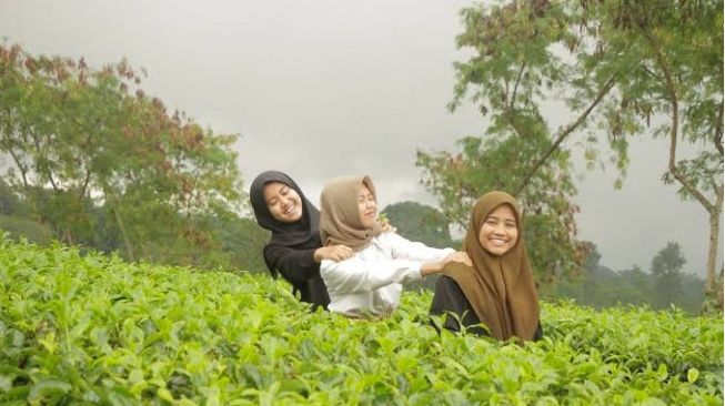 Mengunjungi Wisata Agro Wonosari, Kebun Teh Nge-Hits di Malang!