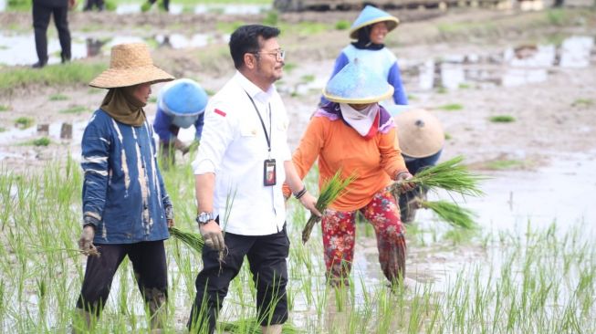 Mentan SYL Lakukan Percepatan Tanam Padi di Tuban. (Dok: Kementan)