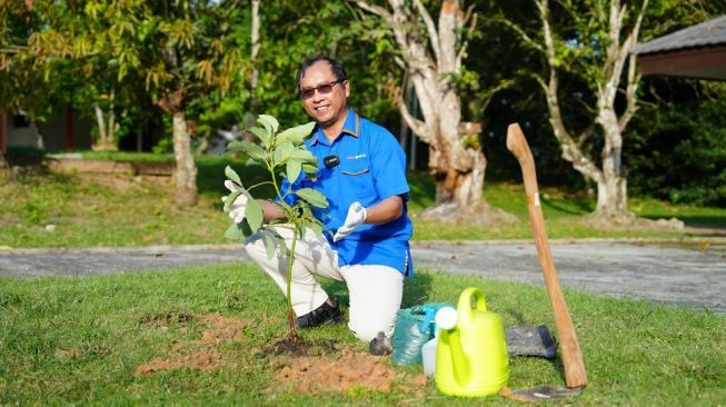 Jaga Ketersediaan Air dan Pelestarian Lingkungan, Pupuk Kaltim Ajak Karyawan Tanam 1.000 Pohon dari Rumah