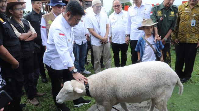 Mentan SYL Ajak Peternak Domba Penuhi Kebutuhan Daging Secara Nasional