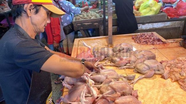 Jelang Idulfitri, Harga Daging Ayam Ras di Pontianak Stabil