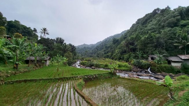 Filantropi Islam Melalui Zakat dan Wakaf Berpotensi Jadi Solusi Perubahan Iklim