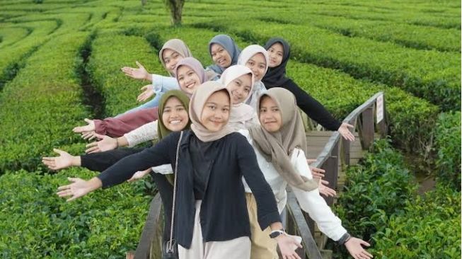 Sering Terlupa, Ini 5 Tips Berkunjung ke Kebun Teh