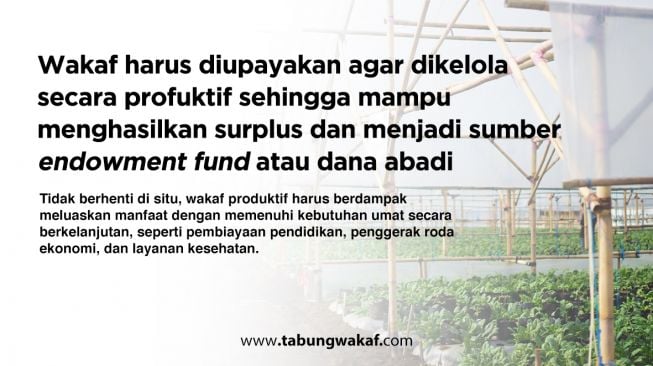 Agar Punya Manfaat yang Luas, Program Wakaf Harus Dijalankan dengan Efektif