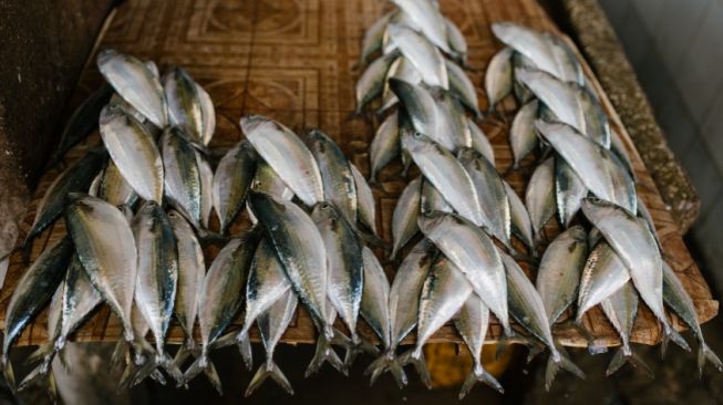 6 Jenis Ikan yang Sebaiknya Dihindari Penderita Asam Urat, Terkenal Sehat tapi Tinggi Purin