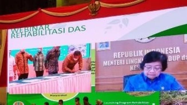 BP Mulai Rehabilitasi Hutan Bintuni di Papua