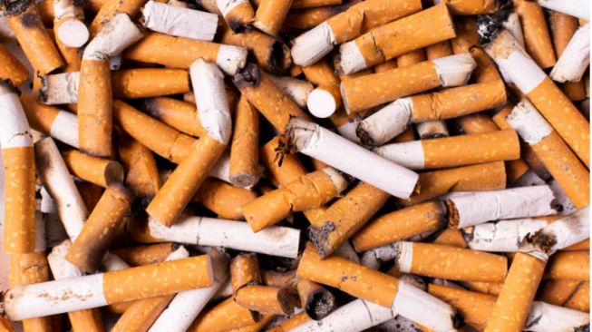 3 Fakta dan Risiko Seputar Rokok Herbal yang Perlu Diketahui, Jangan Terkecoh!
