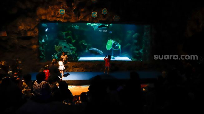 Pengunjung melihat ikan-ikan di aquarium SeaWorld Ancol, Jakarta Utara, Rabu (26/4/2023). [Suara.com/Alfian Winanto]