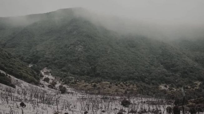 Daya Tarik Gunung Papandayan, Rekomendasi Tempat Pendakian Pemula