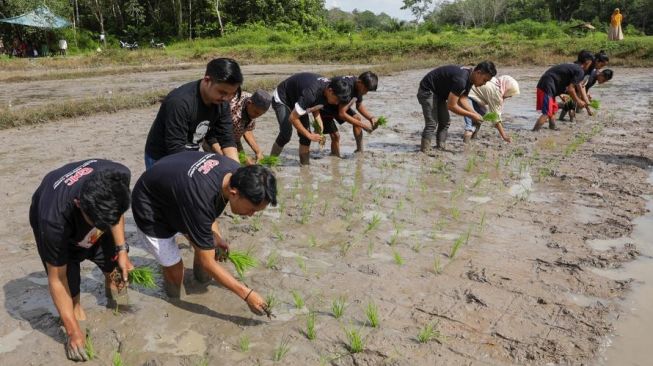 GMC Sumsel Serahkan Bantuan Bibit Padi dan Pupuk untuk Kelompok Tani di Musi Rawas