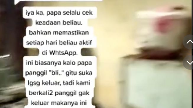 6 Fakta Dokter Wayan Hidup di Rumah Penuh Sampah, Masih Didatangi Pasien