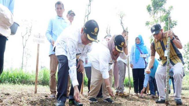 Kementerian Pertanian Minta Gunungkidul Menjadi Penyuplai Benih Kedelai