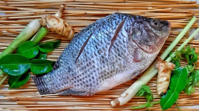 Jarang Diketahui, Ini 5 Manfaat Ikan Mujair bagi Kesehatan Tubuh