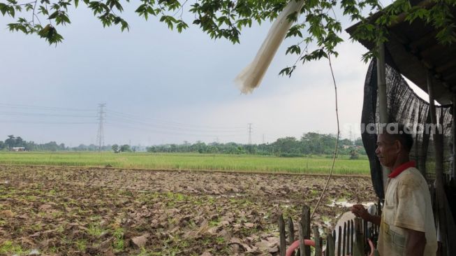 Cuaca Panas di Bekasi, Warga Keluh Penggunaan Listrik, Petani Khawatir Perairan Mengering