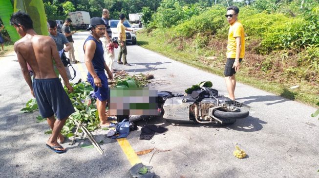 Kecelakaan Maut di Jalan Trans Kalimantan Kembali Telan Korban