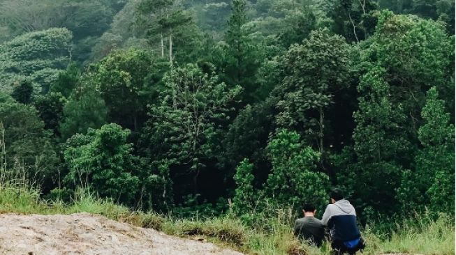 Bukit Akasia, Tempat Menikmati Pemandangan Alam Gratis dari Atas Ketinggian